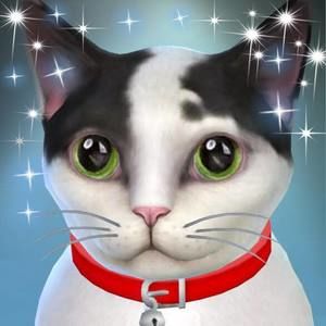 Meet your Posher, Thiri